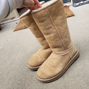 Tall uggs